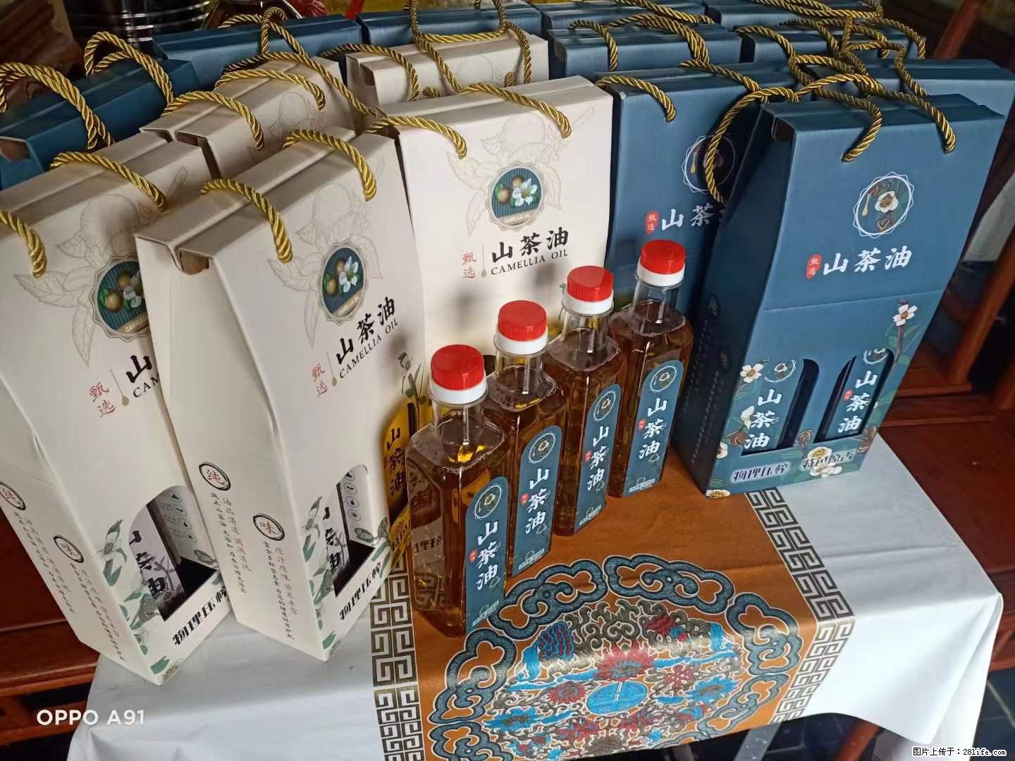 【灌阳县油茶产业示范区】一个有着充实的精神生活的人,对待身外之物自会有一种淡泊的态度 - 美食天地 - 百色生活社区 - 百色28生活网 baise.28life.com