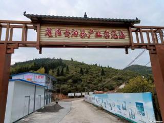 【灌阳县油茶产业示范区】一个有着充实的精神生活的人,对待身外之物自会有一种淡泊的态度 - 百色28生活网 baise.28life.com