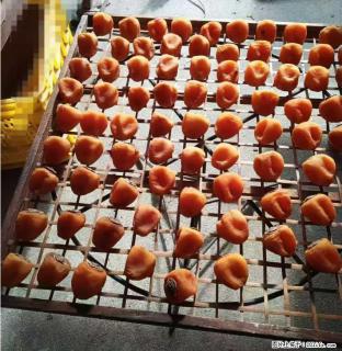 广西桂林平乐桥亭【柿饼之乡】2025年纯手工制作、无任何添加剂的第一批柿饼准备上市了，欢迎联系订购！ - 百色28生活网 baise.28life.com