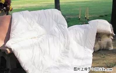 被子有异味?只要这样做,比晒太阳还强100倍! - 家居生活 - 百色生活社区 - 百色28生活网 baise.28life.com