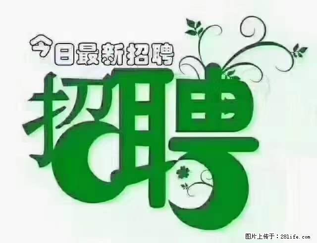 【招聘摄像师】待遇:试用期6000元/月,转正7000元/月+五险一金+餐补+节日福利+奖金 - 职场交流 - 百色生活社区 - 百色28生活网 baise.28life.com
