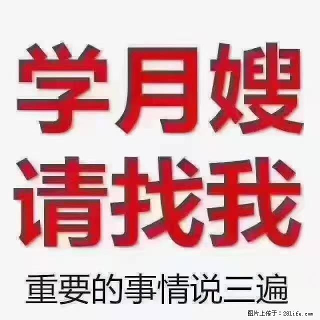 【招聘】月嫂，上海徐汇区 - 职场交流 - 百色生活社区 - 百色28生活网 baise.28life.com