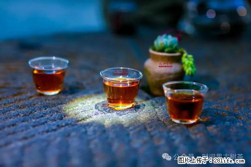 时间果百年古树2025年春红茶 - 购物交流 - 百色生活社区 - 百色28生活网 baise.28life.com