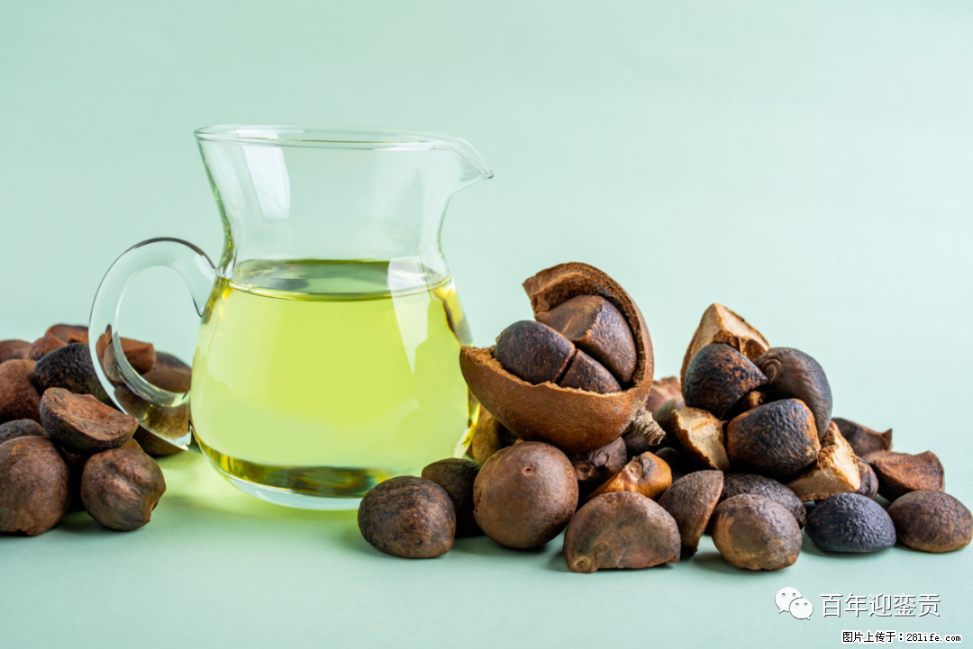 揭秘茶油的5大核心营养成分!被称为人体健康的“守护盾”! - 百色生活资讯 - 百色28生活网 baise.28life.com