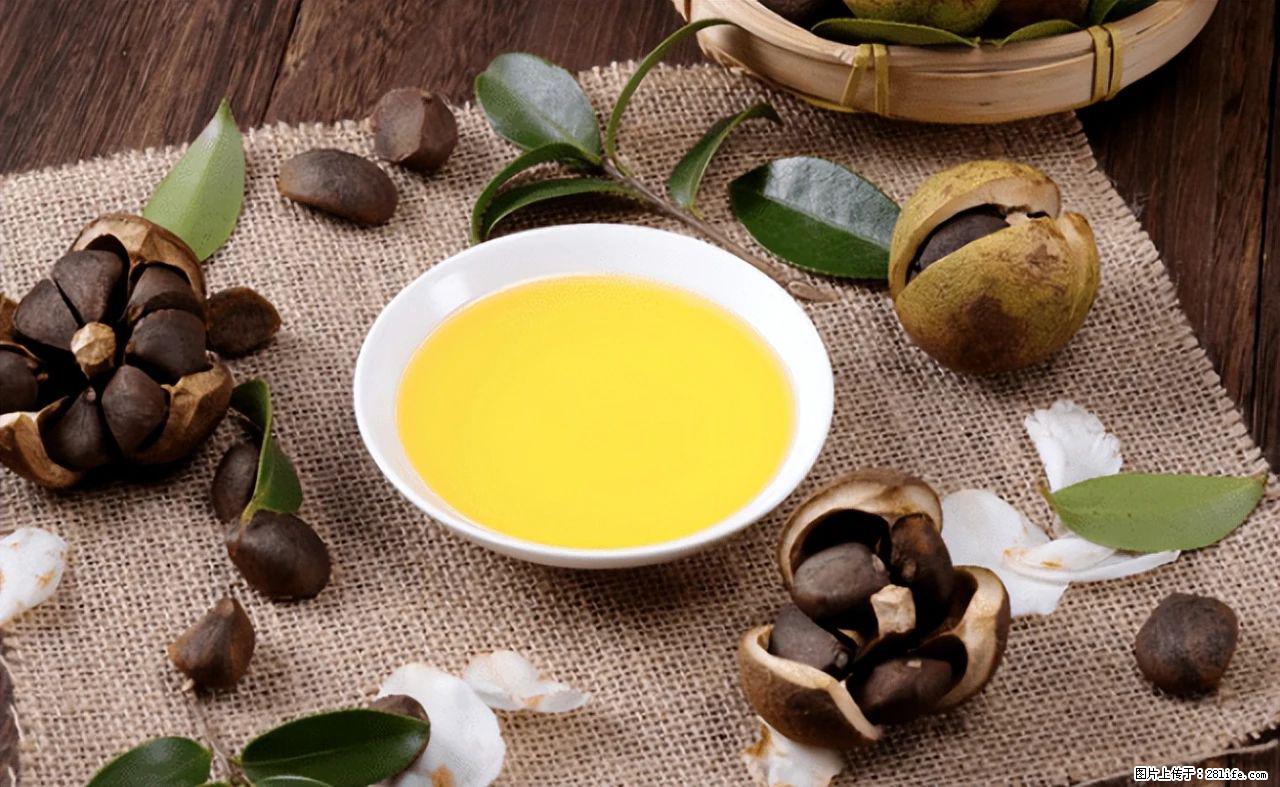 揭秘茶油的5大核心营养成分!被称为人体健康的“守护盾”! - 百色生活资讯 - 百色28生活网 baise.28life.com