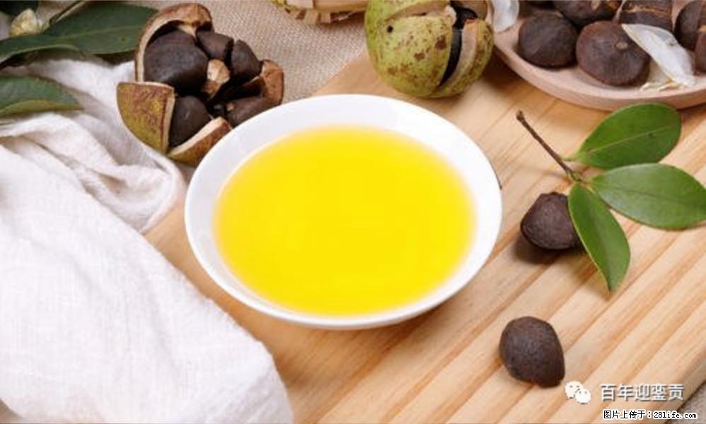 揭秘茶油的5大核心营养成分!被称为人体健康的“守护盾”! - 百色生活资讯 - 百色28生活网 baise.28life.com