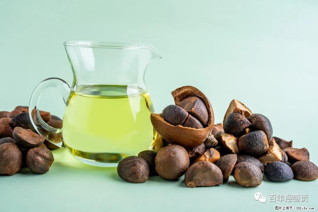 世界没有真相,只有认知,最好的食用油是中国的山茶油! - 百色生活资讯 - 百色28生活网 baise.28life.com