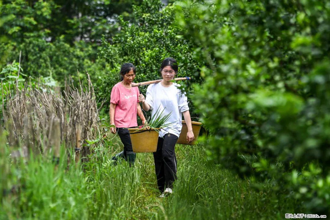 全网追的“扁担女孩”,找了一份暑假工,时薪12元 - 百色生活资讯 - 百色28生活网 baise.28life.com