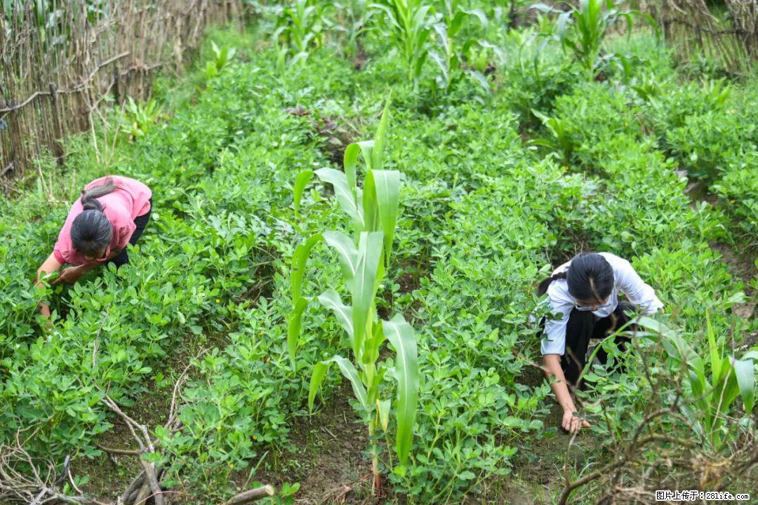 全网追的“扁担女孩”,找了一份暑假工,时薪12元 - 百色生活资讯 - 百色28生活网 baise.28life.com