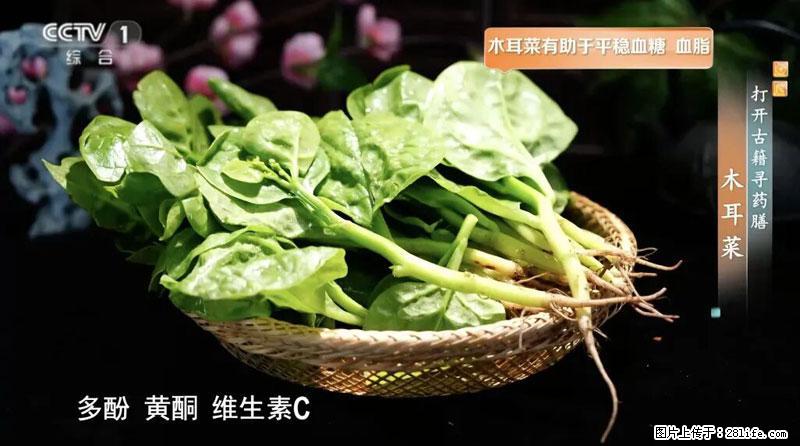 比牛奶补钙还厉害!凉血解毒、稳血糖...这菜冬天必吃,很多人却当草 - 百色生活资讯 - 百色28生活网 baise.28life.com
