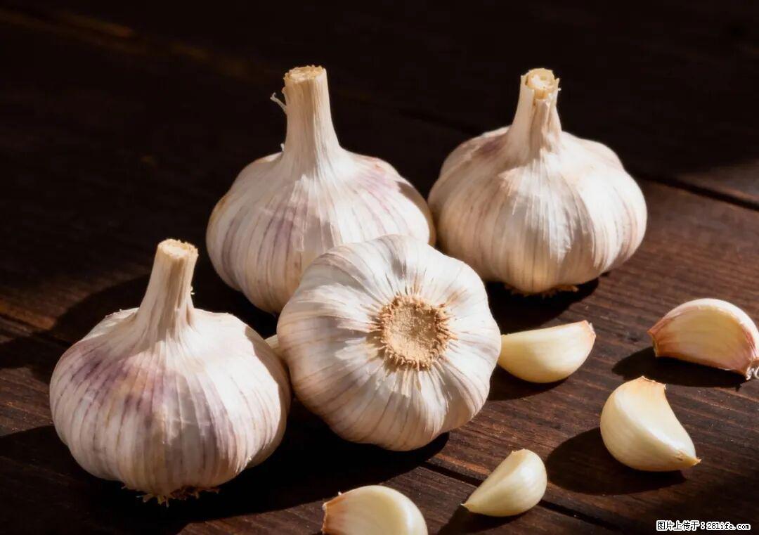 关于大蒜，除了“天然抗生素”，这4个谣言更该警惕! - 百色生活资讯 - 百色28生活网 baise.28life.com