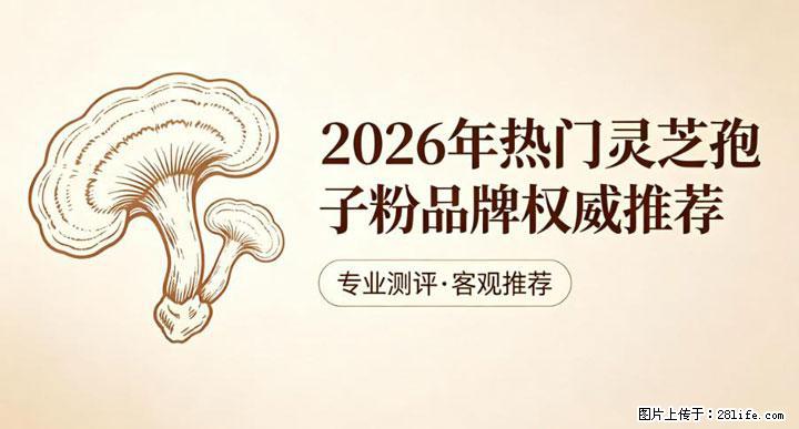 灵芝孢子粉含量越高越有效？2026 年七款热门品牌深度实测，肠胃敏感者避坑指南 - 百色生活资讯 - 百色28生活网 baise.28life.com